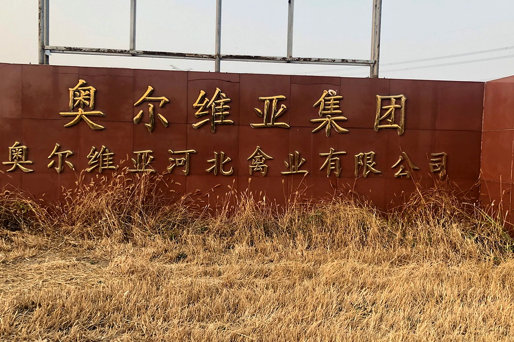 奥尔维亚禽业孵化基地 商用电热水锅炉